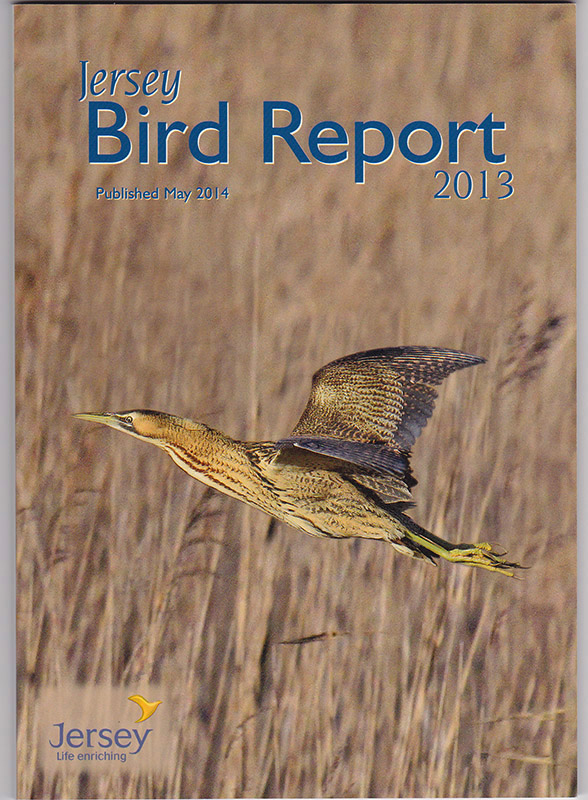 Jersey Bird Report 2013