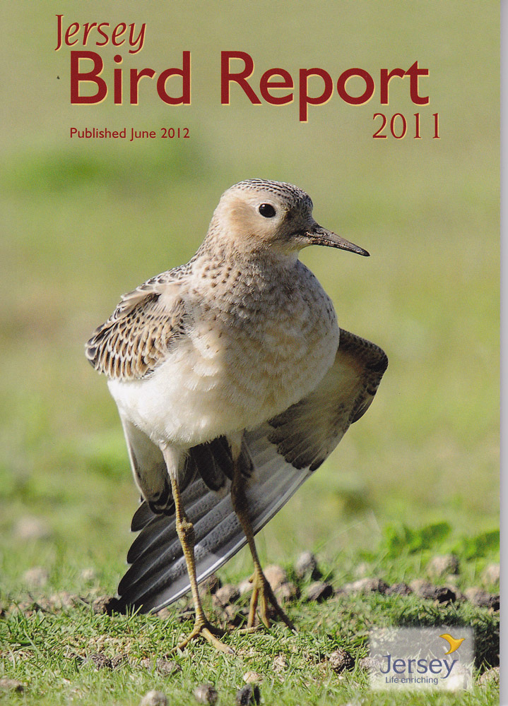 Jersey Bird Report 2011